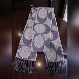Coach Purple and Lavender Wool Scarf